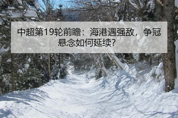 中超第19轮前瞻：海港遇强敌，争冠悬念如何延续？
